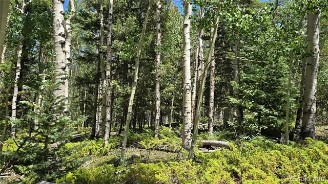 Lot 6748 Starkweather Road San Luis, CO 81152