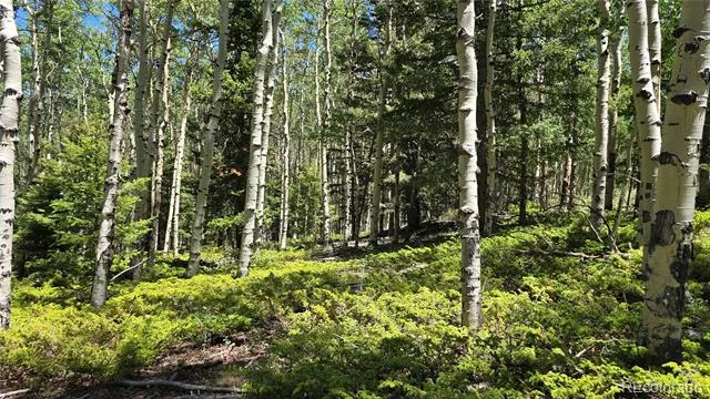 Lot 6748 Starkweather Road San Luis, CO 81152