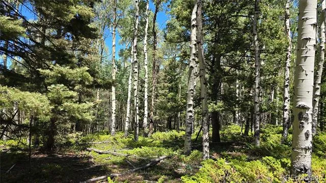 Lot 6748 Starkweather Road San Luis, CO 81152