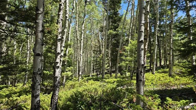 Lot 6748 Starkweather Road San Luis, CO 81152