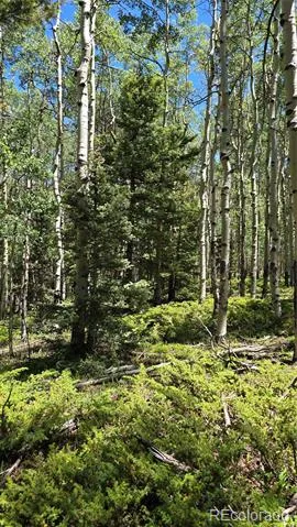 Lot 6748 Starkweather Road San Luis, CO 81152