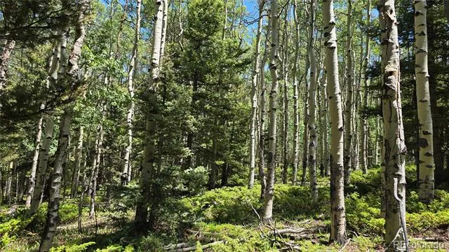 Lot 6748 Starkweather Road San Luis, CO 81152