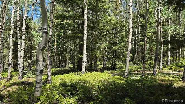 Lot 6748 Starkweather Road San Luis, CO 81152