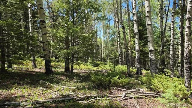Lot 6748 Starkweather Road San Luis, CO 81152