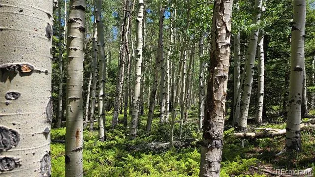 Lot 6748 Starkweather Road San Luis, CO 81152