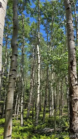 Lot 6748 Starkweather Road San Luis, CO 81152