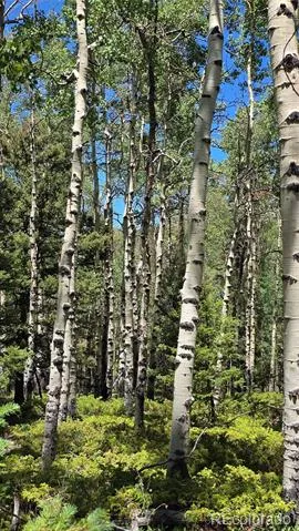 Lot 6748 Starkweather Road San Luis, CO 81152