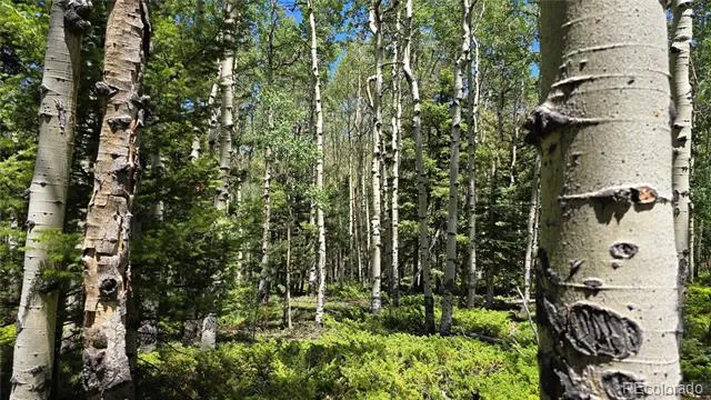 Lot 6748 Starkweather Road San Luis, CO 81152