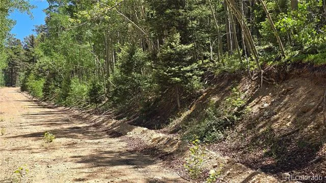 Lot 6748 Starkweather Road San Luis, CO 81152
