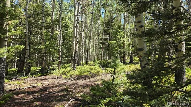 Lot 6748 Starkweather Road San Luis, CO 81152