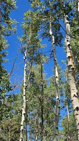 Lot 6748 Starkweather Road San Luis, CO 81152