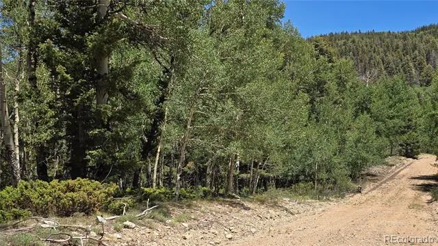 Lot 6748 Starkweather Road San Luis, CO 81152