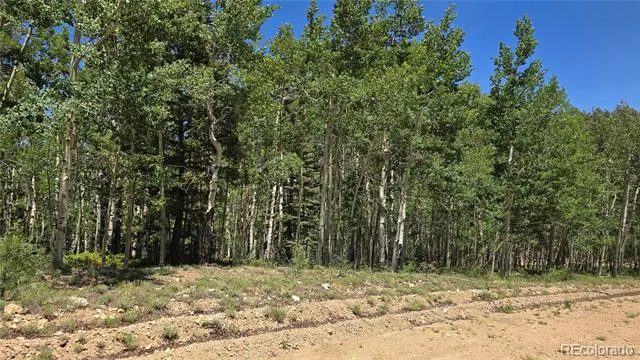 Lot 6748 Starkweather Road San Luis, CO 81152
