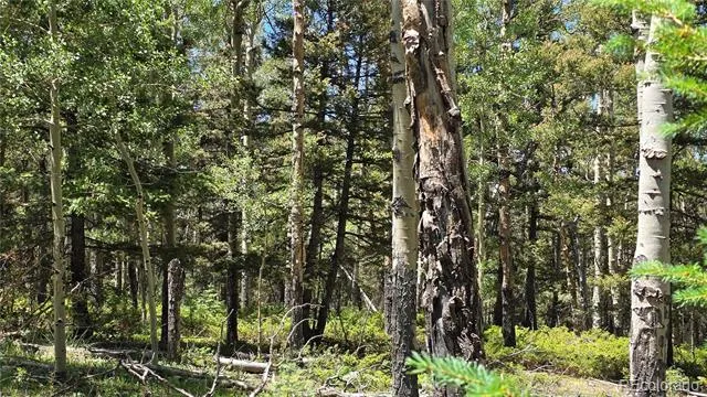 Lot 6748 Starkweather Road San Luis, CO 81152