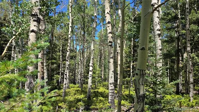Lot 6748 Starkweather Road San Luis, CO 81152
