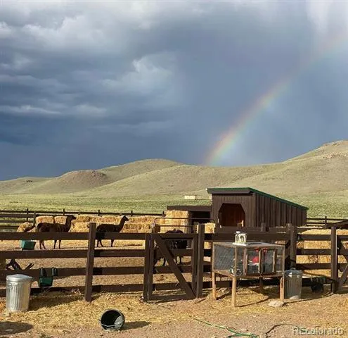 27028 Garo Park Drive Blanca, CO 81123
