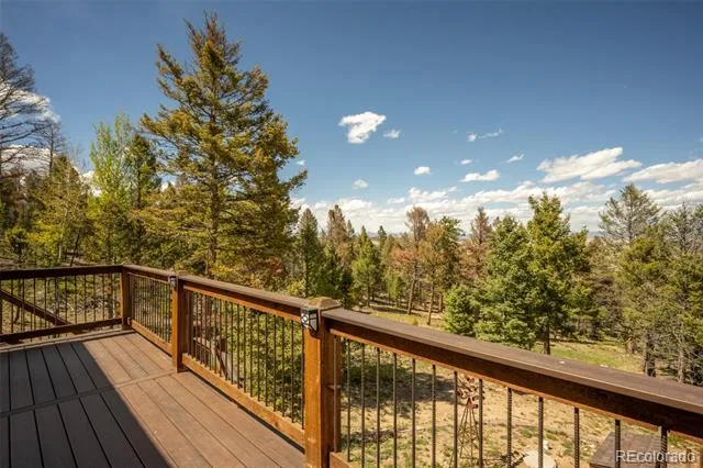 1540 Bolster Drive Hartsel, CO 80449