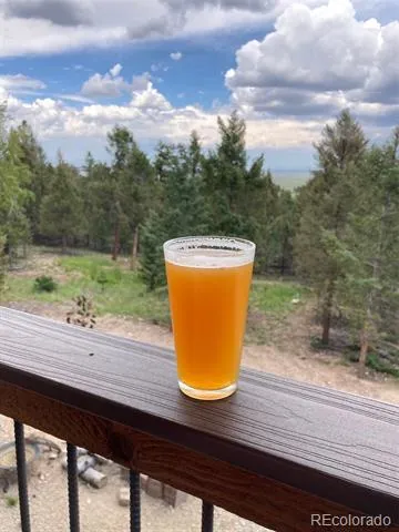 1540 Bolster Drive Hartsel, CO 80449