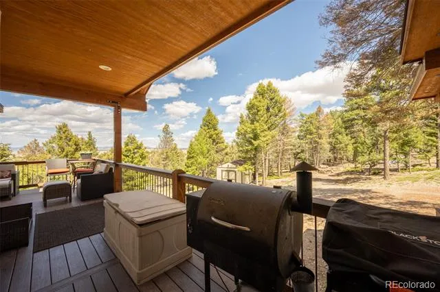 1540 Bolster Drive Hartsel, CO 80449