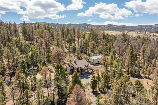 1540 Bolster Drive Hartsel, CO 80449