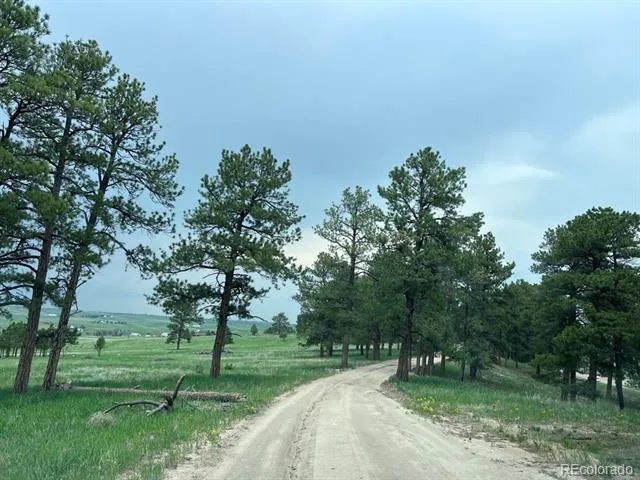 4560 County road 114 Elizabeth, CO 80107