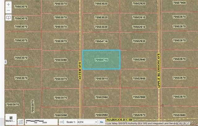 lot 7 Aster Avenue Blanca, CO 81123