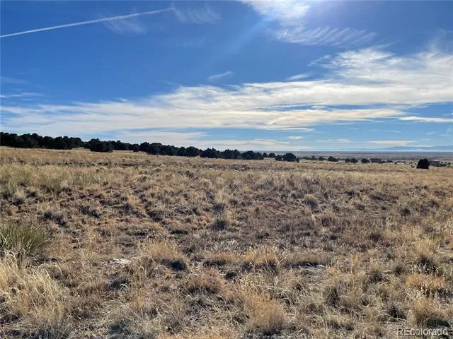 3300 Fairview Crestone, CO 81131
