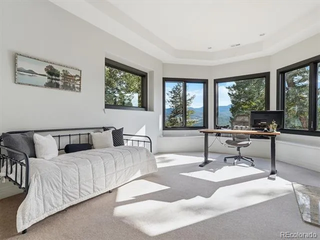 7260 S Frog Hollow Lane Evergreen, CO 80439
