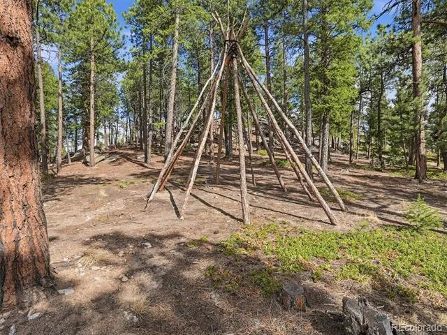7260 S Frog Hollow Lane Evergreen, CO 80439