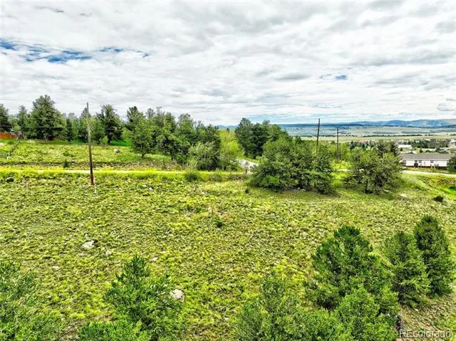 00 Platteview Drive Fairplay, CO 80440
