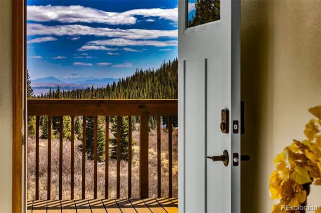 162 S Silk Sisters Place Fairplay, CO 80440