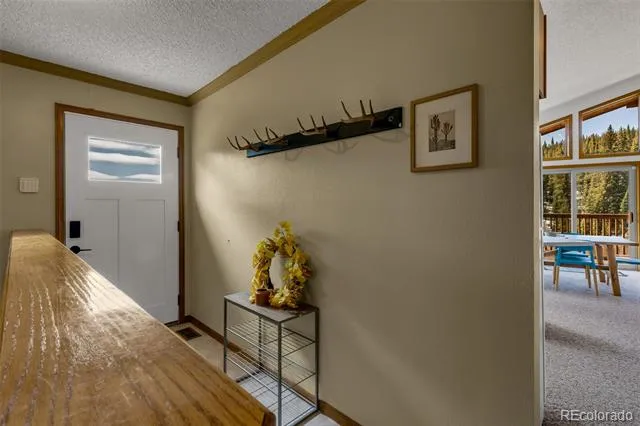 162 S Silk Sisters Place Fairplay, CO 80440