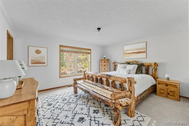 162 S Silk Sisters Place Fairplay, CO 80440