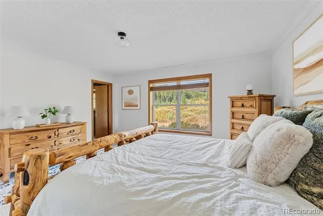 162 S Silk Sisters Place Fairplay, CO 80440