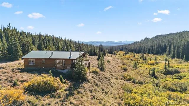 162 S Silk Sisters Place Fairplay, CO 80440