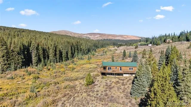 162 S Silk Sisters Place Fairplay, CO 80440