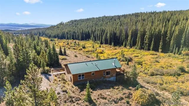 162 S Silk Sisters Place Fairplay, CO 80440