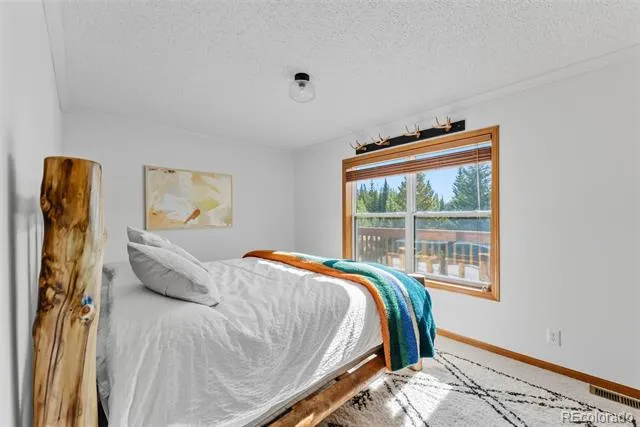 162 S Silk Sisters Place Fairplay, CO 80440