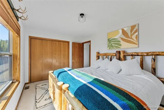 162 S Silk Sisters Place Fairplay, CO 80440