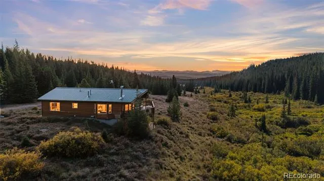 162 S Silk Sisters Place Fairplay, CO 80440