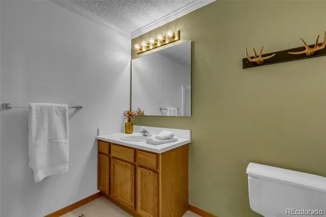 162 S Silk Sisters Place Fairplay, CO 80440