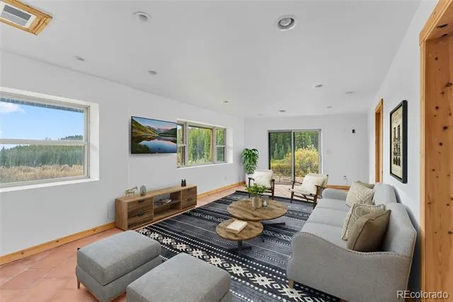 162 S Silk Sisters Place Fairplay, CO 80440