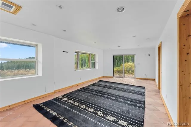 162 S Silk Sisters Place Fairplay, CO 80440