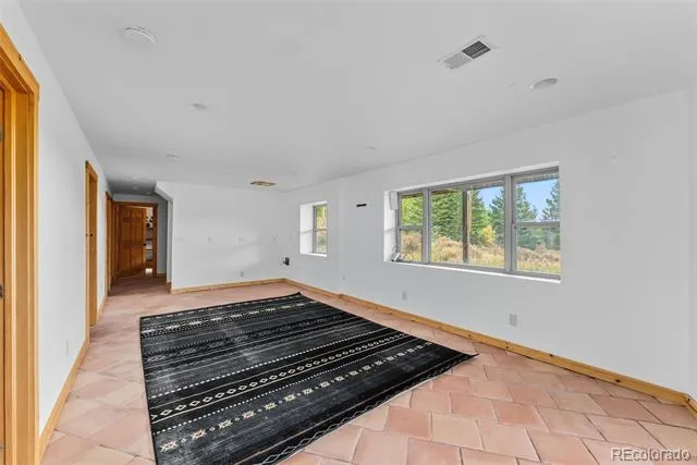 162 S Silk Sisters Place Fairplay, CO 80440