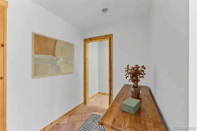 162 S Silk Sisters Place Fairplay, CO 80440
