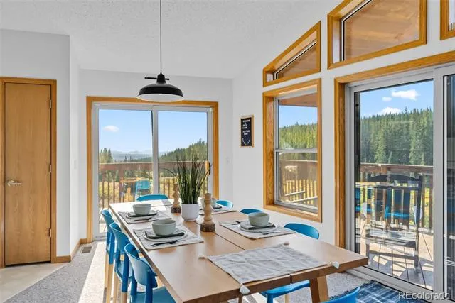 162 S Silk Sisters Place Fairplay, CO 80440