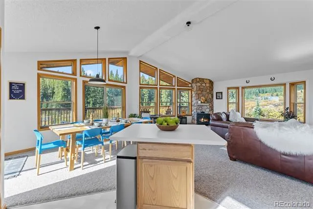162 S Silk Sisters Place Fairplay, CO 80440