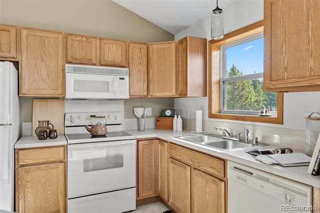 162 S Silk Sisters Place Fairplay, CO 80440