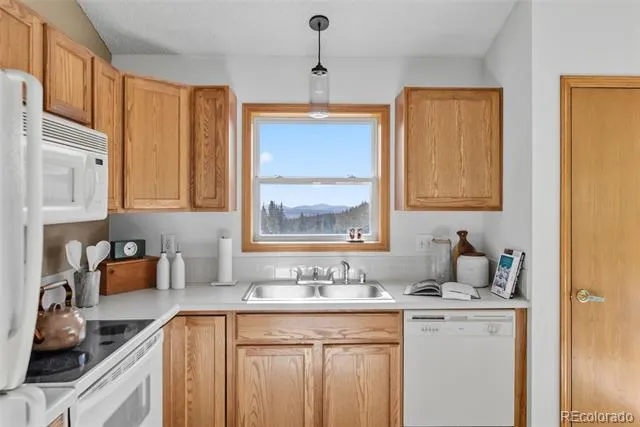 162 S Silk Sisters Place Fairplay, CO 80440