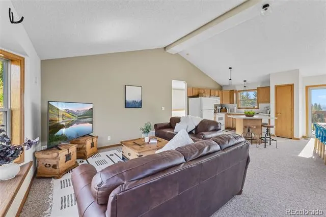 162 S Silk Sisters Place Fairplay, CO 80440